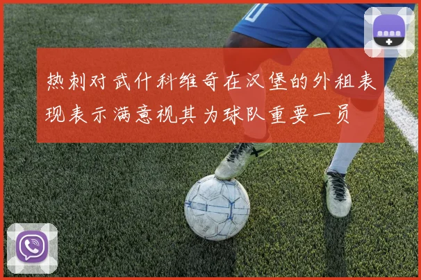 热刺对武什科维奇在汉堡的外租表现表示满意视其为球队重要一员