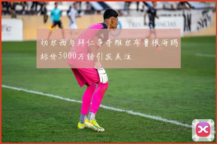 切尔西与拜仁争夺维尔布鲁根海鸥标价5000万镑引发关注